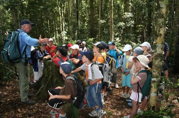 knowledge-about-rainforest-in-education